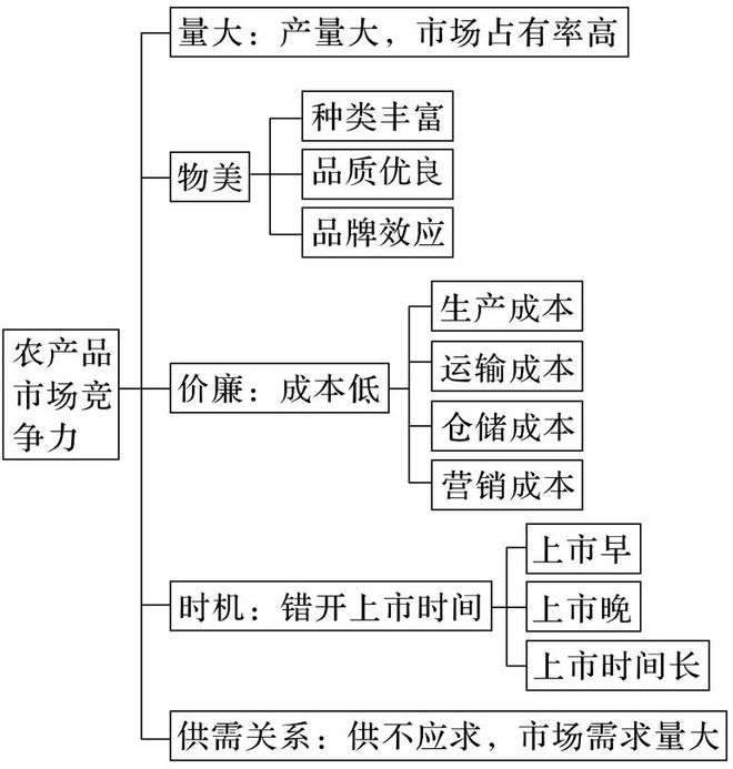 二轮微专题22 市场竞争力J9数字平台2025高考地理(图10)