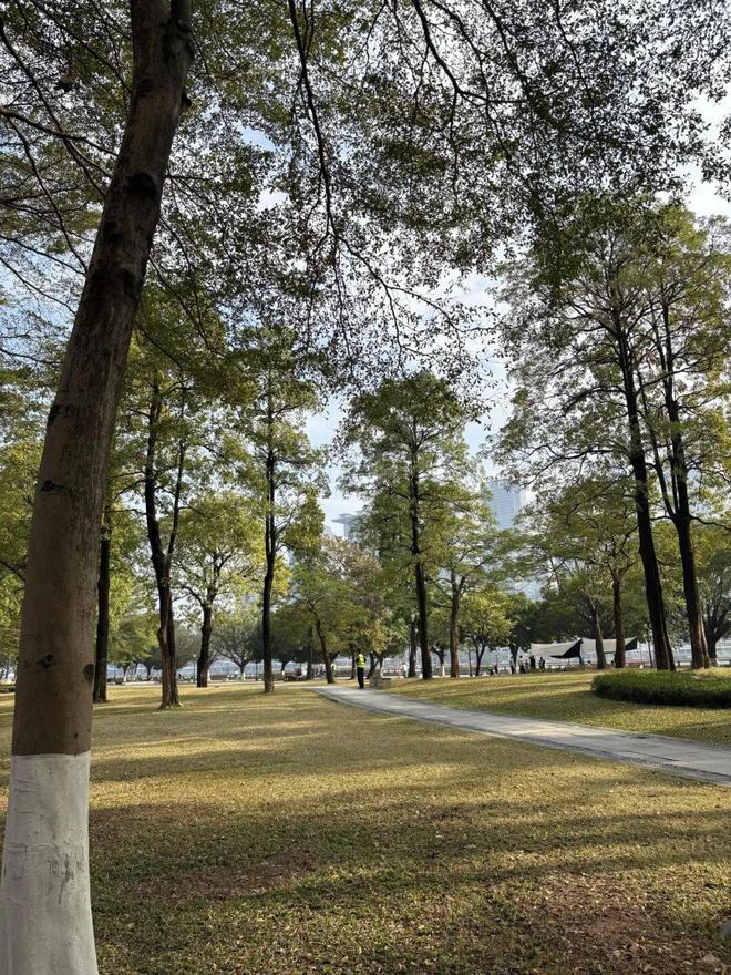 好气色用了一整年才来分享ag九游会登录线分钟搞定(图23)